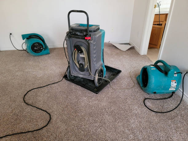 Best 24-hour water damage restoration  in Ione, CA
