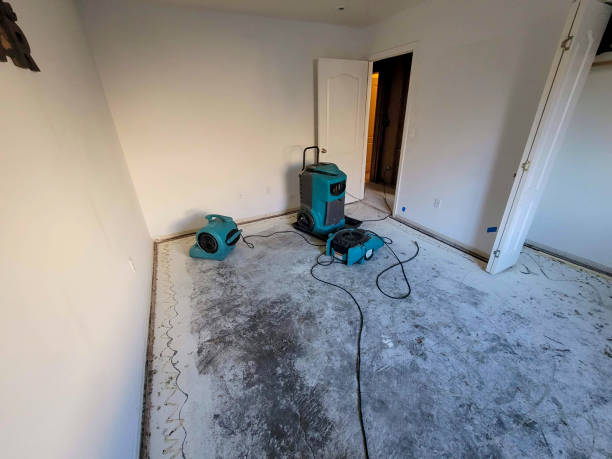 Best Flood restoration services  in Ione, CA