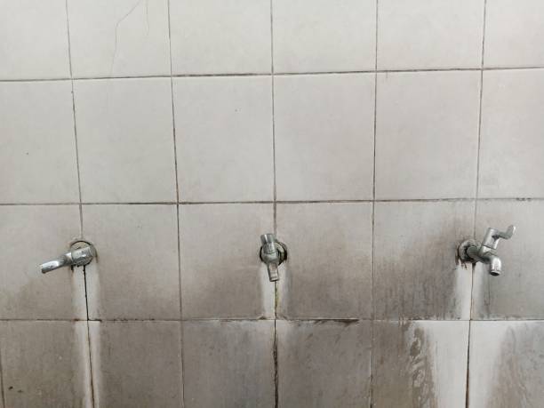 Best Flooded house restoration  in Ione, CA