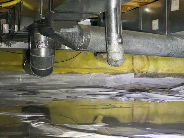 Best Local water damage restoration  in Ione, CA