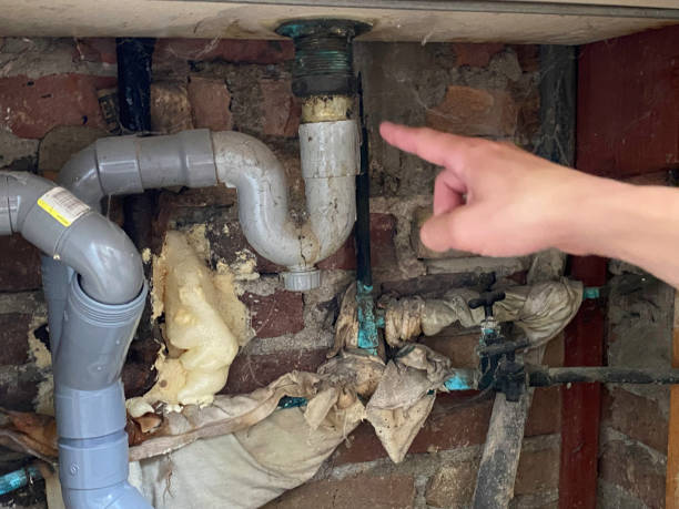 Best Water damage restoration near me  in Ione, CA
