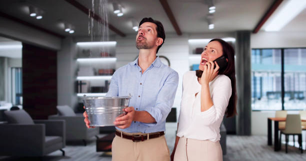 Best Water damage contractors near me  in Ione, CA